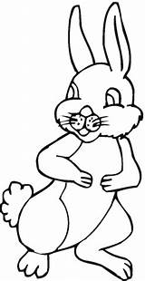 Hare Coloring Pages Cartoon Supercoloring sketch template