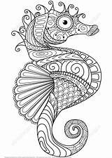 Fisch Mandalas Ausmalen Bildern Seepferdchen Zentangle sketch template