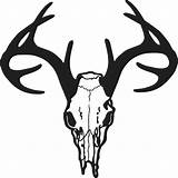 Deer Skull Stencil Cliparts Computer Designs Use Clip sketch template