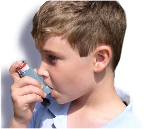contorno da sombra pesquisa diz  jejum protege cerebro  combate asma