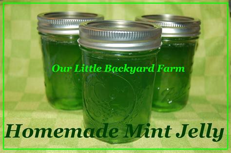 backyard farm homemade mint jelly recipe