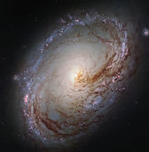 무료 이미지 은하수 코스모스 분위기 공간 대기권 밖 천문학 우주 천체 나선 은하 중급의 이중 금지 Ngc