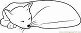 Coloring Cat Sleeping Cute Pages Looks Kitty Coloringpages101 Cats Kids Printable Color Template Print sketch template