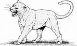 Big Coloring Pages Cat Cats Leopard Roaring sketch template