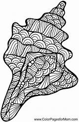 Mandalas Zentangle Colorare Marini Shells Disegni Colorear Degli Erwachsene Seahorse Grown Ups Therapy Mermaid 1720 Pencils Colorpagesformom Libros Seashell Casalinga sketch template