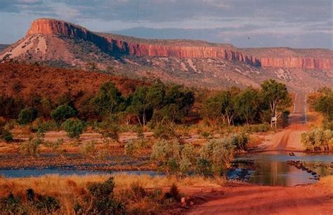 Life And Death In The Kimberley — Montessori Northwest