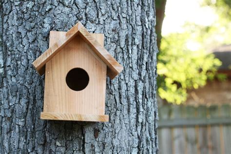 build  cedar birdhouse   ana white