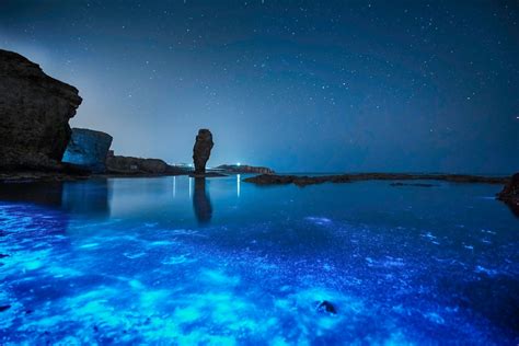 biolumineszenz  diesen orten leuchtet das meer blau
