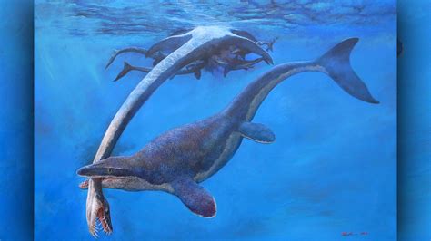 foot long sea monster ruled  ancient ocean   covered