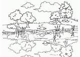Stagno sketch template