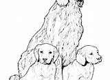 Coloring Labrador Pages Puppy Retriever Printable Getcolorings Color Print Getdrawings sketch template