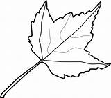 Leaf Apple Template Outline Clipart Library Leaves Coloring sketch template