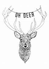 Deer Drawing Stag Head Antlers Illustration Getdrawings sketch template