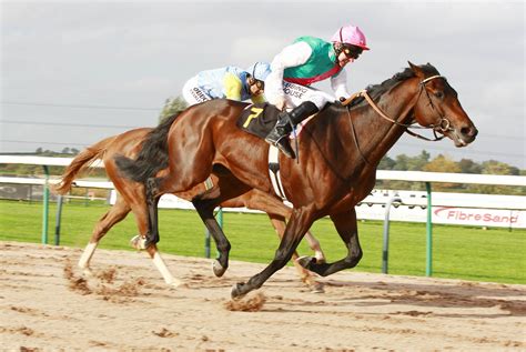 horse racing race equestrian sport jockey horses wallpapers hd desktop  mobile