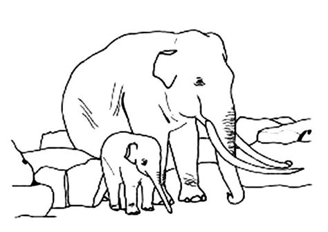parenting elephant coloring page netart