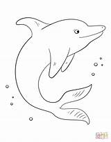 Dolphin Coloring Pages Cute Baby Drawing Kids Line Printable Easy Dolphins Color Preschool Colorin Drawings Animals Print sketch template