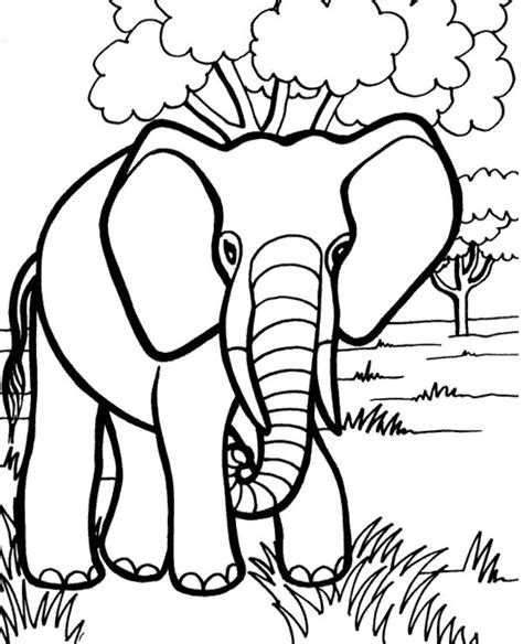 animal coloring pages  kids kids coloring pages etsy