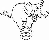 Circus Elephant Drawing Coloring Pages Color Trunk Unicycle Getdrawings Getcolorings Place Print Find sketch template
