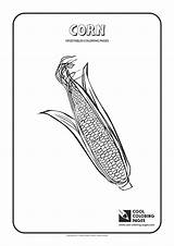 Coloring Corn Pages Cool Vegetables Plant Print Plants Template sketch template