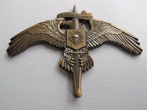 raider skull on marsoc badge antiqued pin marine corps
