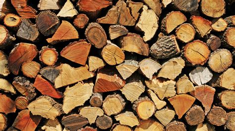 types  hardwood  softwood diy doctor