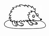 Coloring Porcupine Pages Eyed Big Hedgehog Line Animal Clipartmag Drawing Color Getcolorings sketch template
