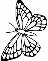 Moth Coloring Pages Getdrawings sketch template