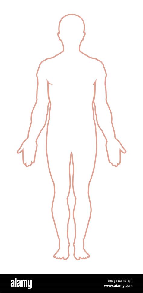 blank female body outline
