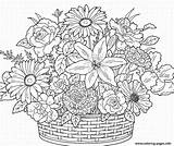 Coloring Pages Adult Adults Flowers Flower Printable Spring Cute Bouquet Basket Print Sheets Books Colouring Online Advanced Baskets Color Book sketch template