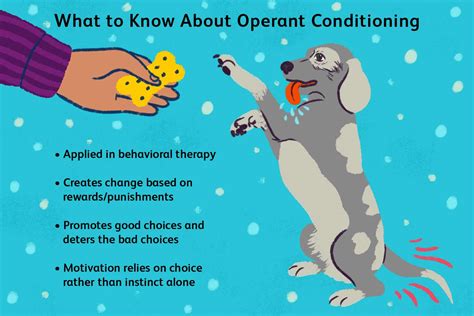operant conditioning  change behaviors