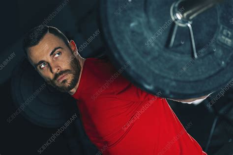 man lifting weights stock image  science photo library