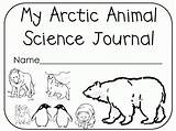 Arctic Science Coloringhome Elementary sketch template