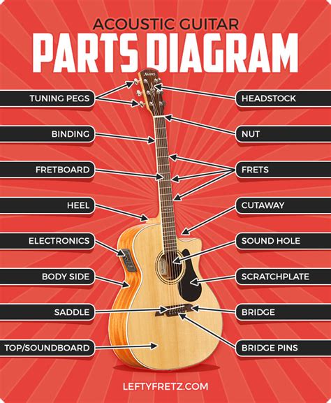 parts   guitar acoustic electric diagrams
