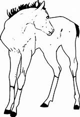 Coloring Wecoloringpage Horse Pages sketch template