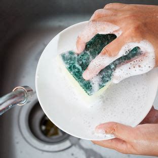 clean dish sponge dos  donts merry maids