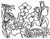 Coloring Garden Kids Pages Flower Popular sketch template