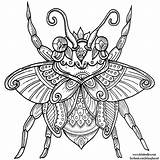 Mandala Welshpixie Beetle Bug Wolf Doodle sketch template