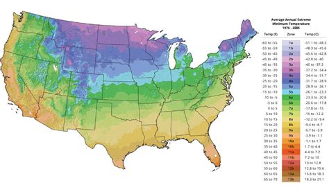 usda hardiness zones world  succulents