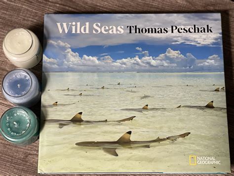 stranded  chaos book review wild seas