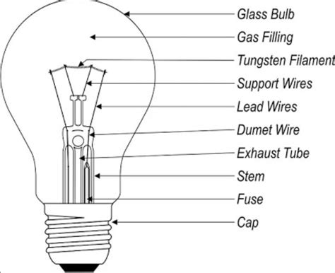 draw  labelled diagram   electric bulb explain  parts brainlyin
