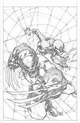 Joe Madureira Wolverine Comic Savage Spiderman Mad Marvel Cover Artist Book Pencils Pencil Anatomy Spider Man Comics Issue Artwork Books sketch template