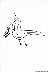 Malvorlage Dinosaurier Flugsaurier Ausmalbilder Malvorlagen Flugdinosaurier Dino Ausdrucken Fliegende Vorschaubild Siehst Linken Mandala sketch template