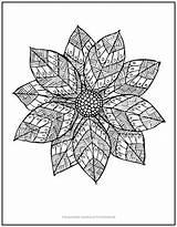 Poinsettia Herringbone sketch template
