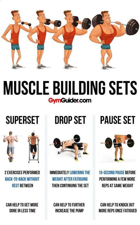 Pin On Gym Training Guides And Workout Plans