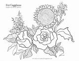 Coloring Pages Carolina South Comments sketch template
