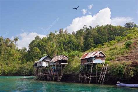 traditional houses built  stilts stock image  science photo library