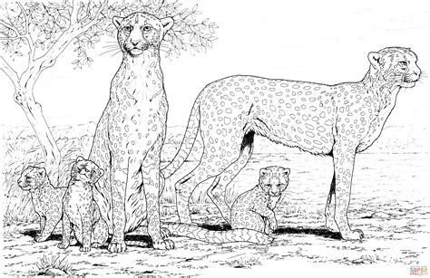 cheetah family coloring page  printable coloring pages