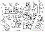 Hamster Chomik Kolorowanki Hamsters Dzieci Bestcoloringpagesforkids Hamtaro sketch template