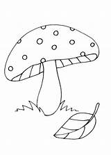 Funghi Colorare Disegni Colouring Hongos Mushrooms Pianetabambini Bambini Indiaparenting Disegnare Scegli Champignon sketch template