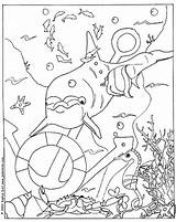 Coloring Pages Sea Dolphin Kids Hellokids Animal Colouring Color Print Mammals Printable Dolphins Library Popular sketch template